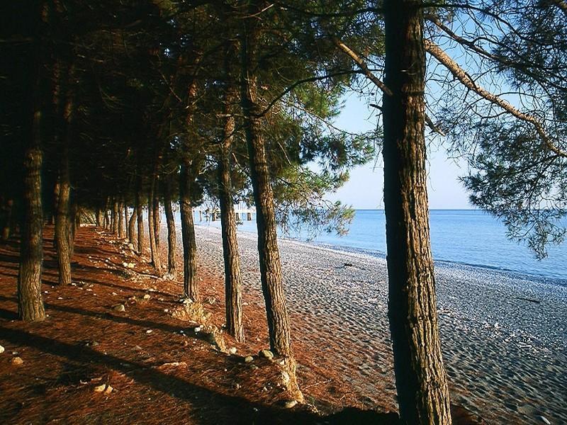 Gloriya Hotel Lidzava Εξωτερικό φωτογραφία