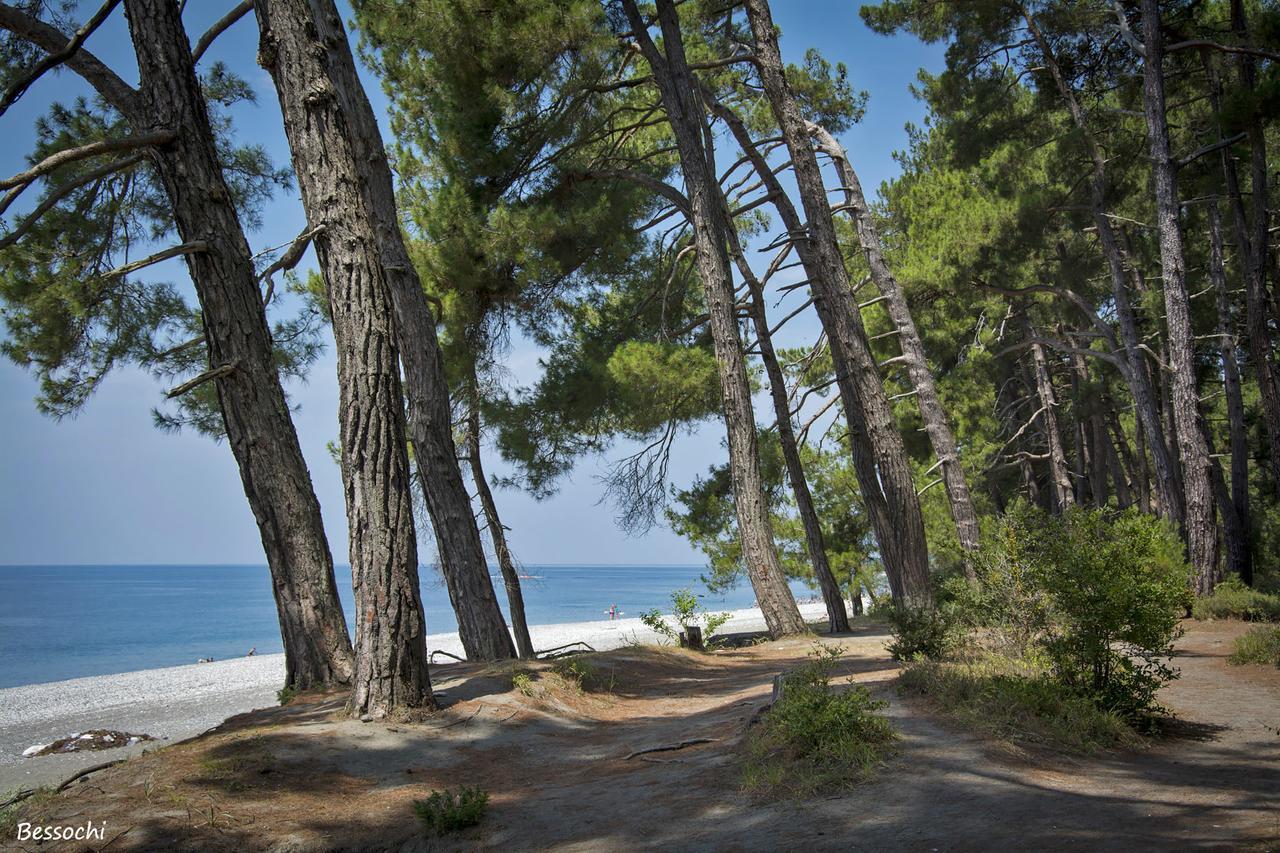 Gloriya Hotel Lidzava Εξωτερικό φωτογραφία