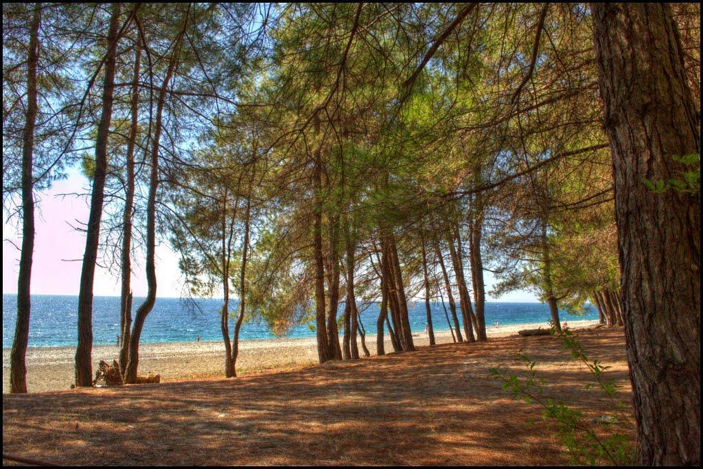 Gloriya Hotel Lidzava Εξωτερικό φωτογραφία